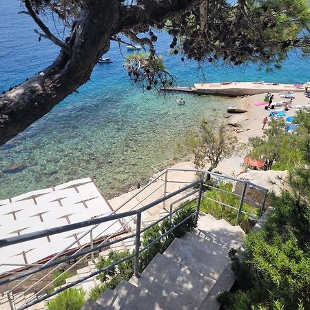 Luxury Apartments Villa Ruzmarina With New Heated Infinity Pool And Lounge Area Marusici  Extérieur photo