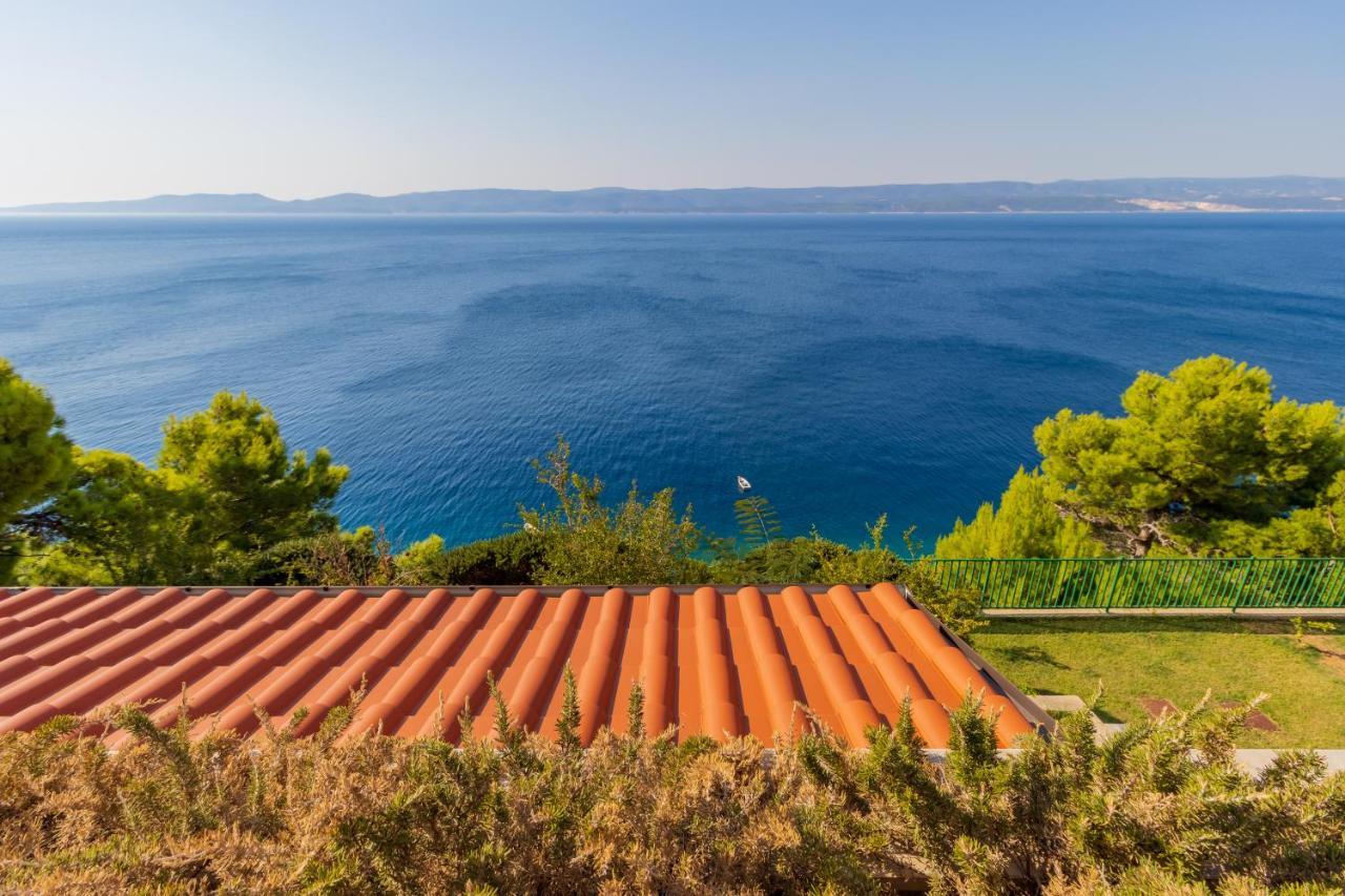 Luxury Apartments Villa Ruzmarina With New Heated Infinity Pool And Lounge Area Marusici  Extérieur photo